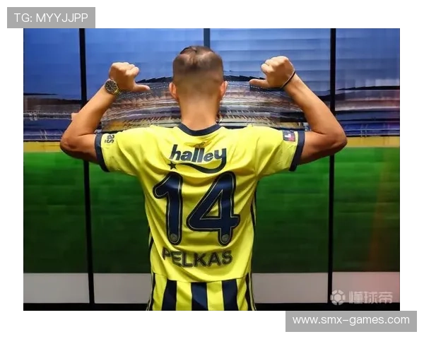 费内巴切青训体系再创佳绩，年轻才俊闪耀欧洲赛场